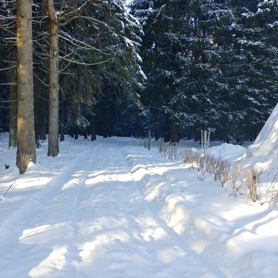 Wanderhuette Zum Bernhardsthal Villa Екстериор снимка